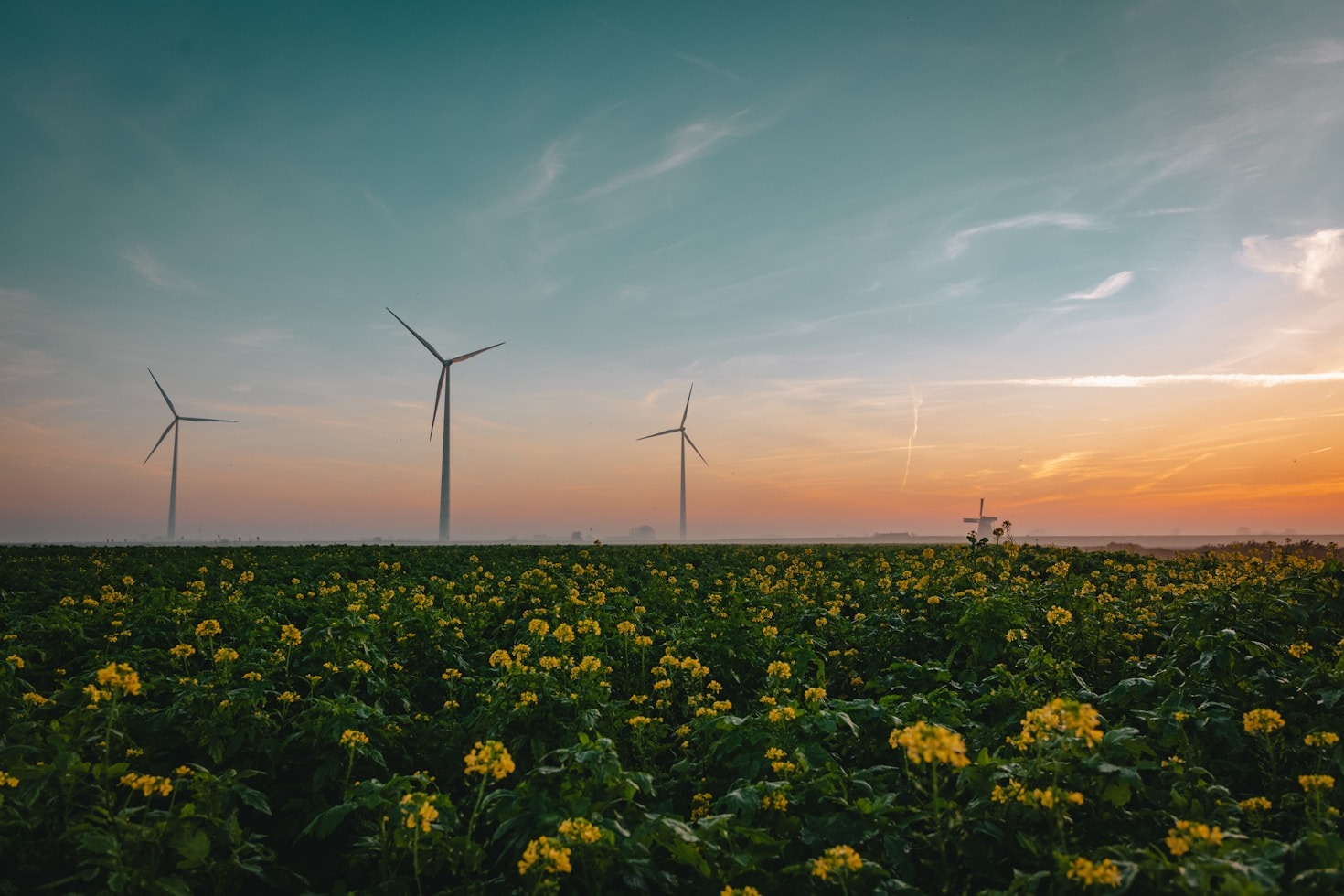 The Role of Renewable Energy in Global Sustainability